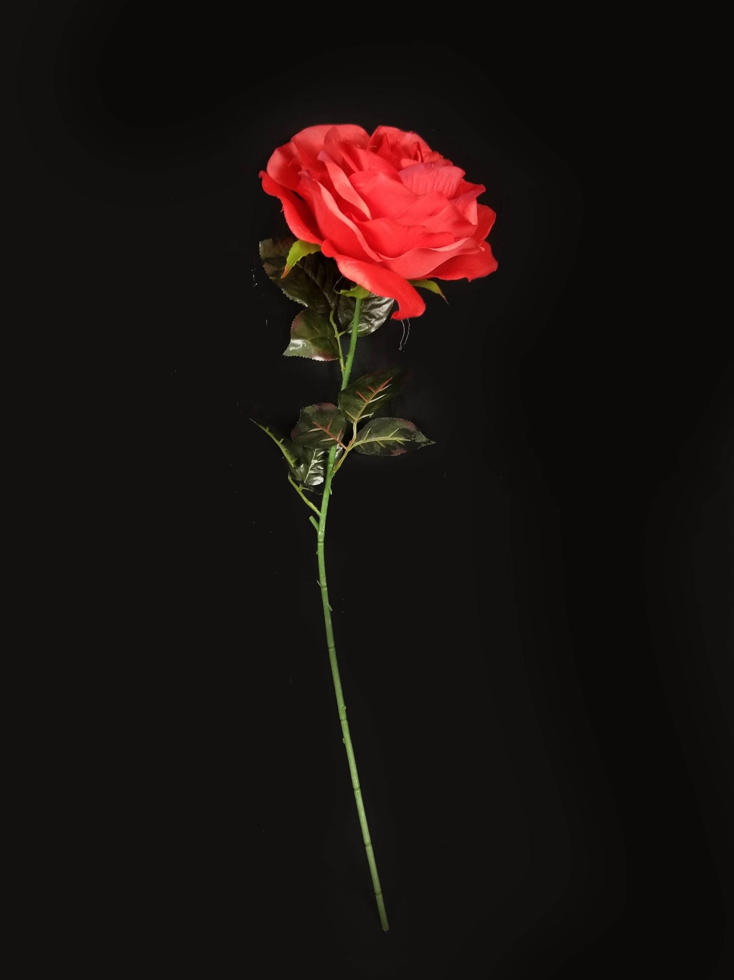 SFCL006 - 7" Silk Roses with Wire Stem