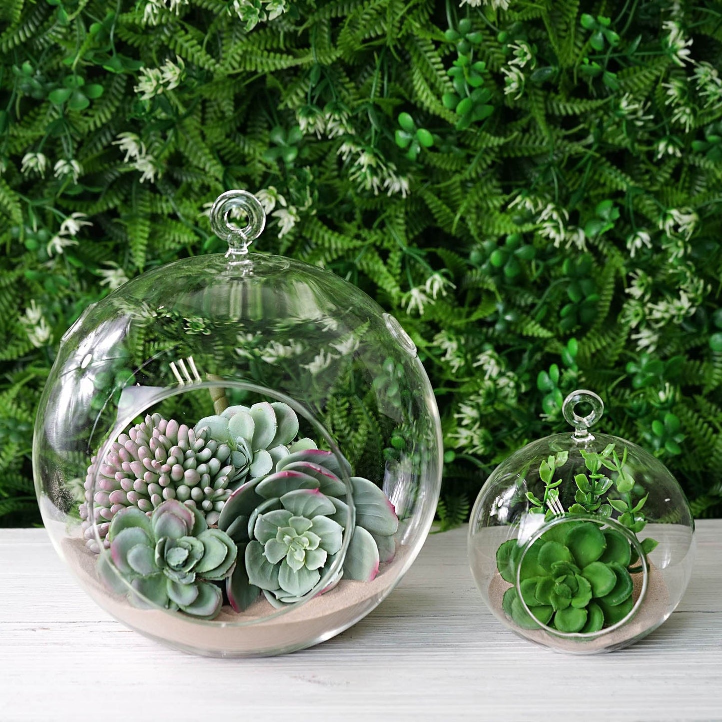 CH062B - 6" Glass Terrarium Globe Hanging Plant Holders
