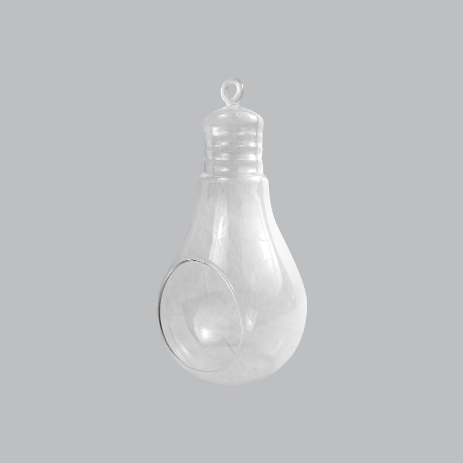 CH170 - 5.5" Air Plant Glass Terrarium Light Bulb Hanging Plant Holders
