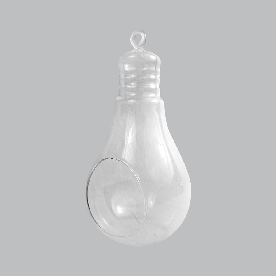 CH171 - 8" Air Plant Glass Terrarium Light Bulb Hanging Plant Holders