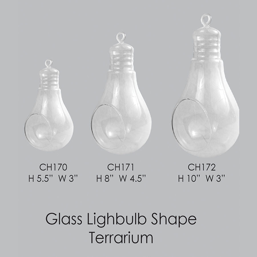 CH171 - 8" Air Plant Glass Terrarium Light Bulb Hanging Plant Holders