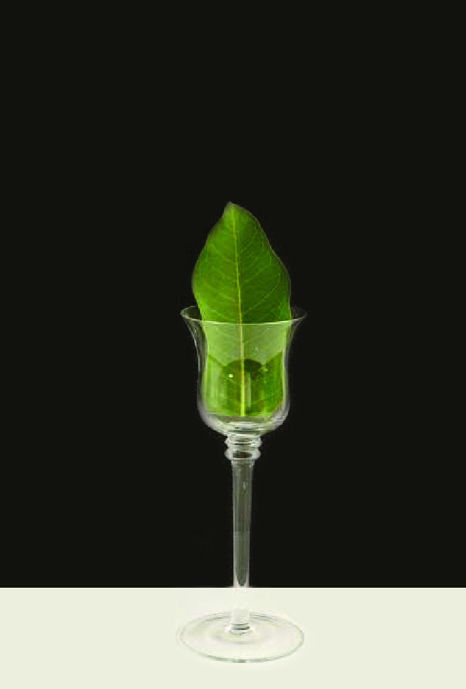 CH212 - 12" Premium Long Stem Glass Candle Holders