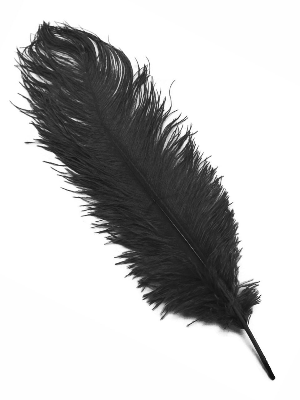 Black Ostrich Feathers - 22" - 32"