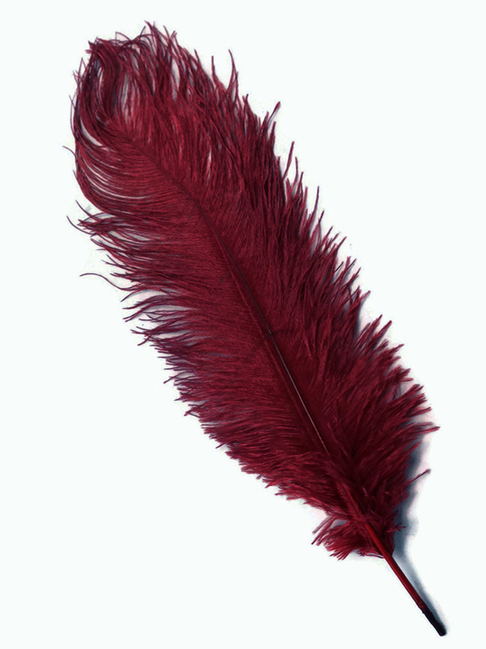 Burgandy Ostrich Feathers - 22" - 32"