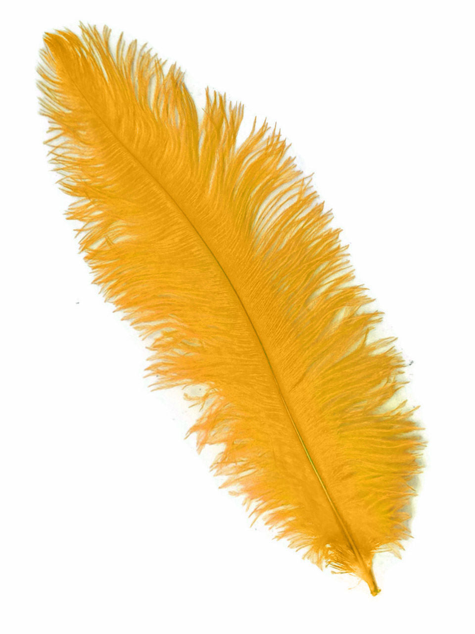 Yellow Ostrich Feathers - 22" - 32"