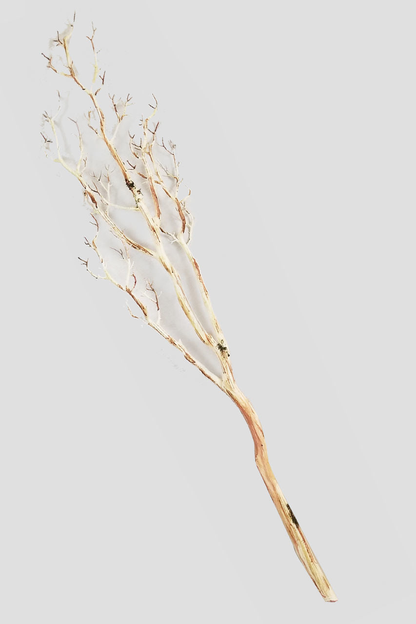 AD384 - Natural 60"Glitter Tree Branches