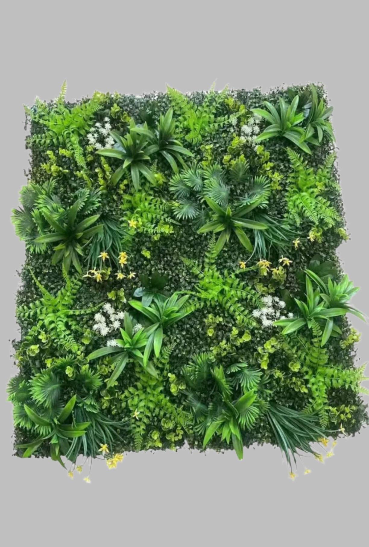 Grass