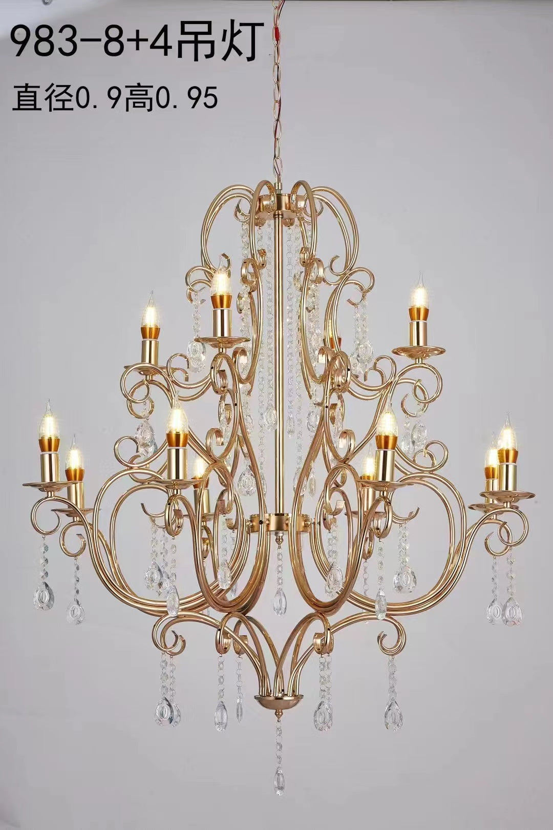 12 LED Chandelier