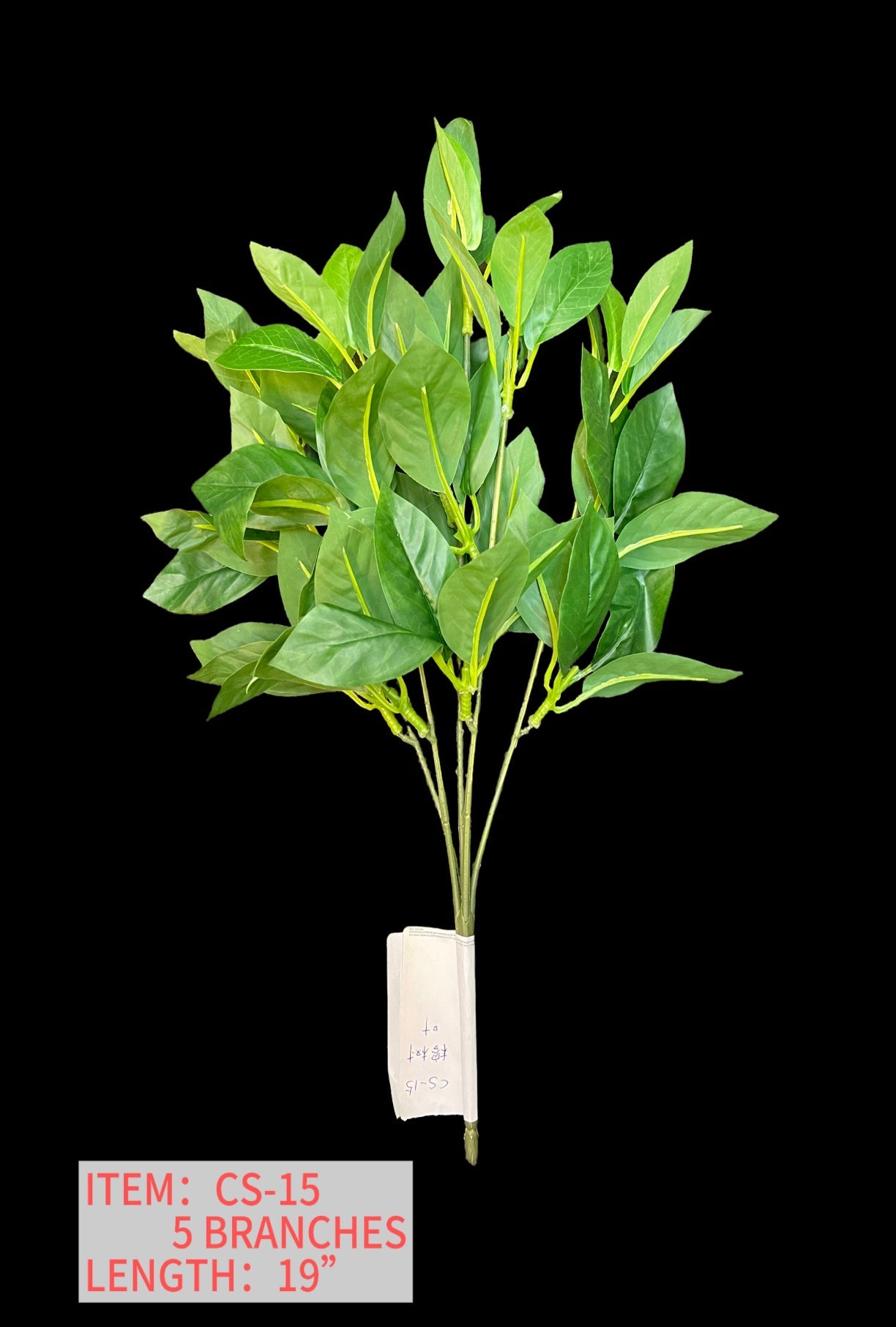 BANYAN LEAVES
