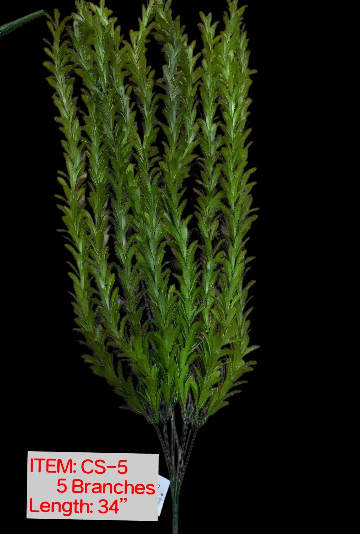 Green leaf