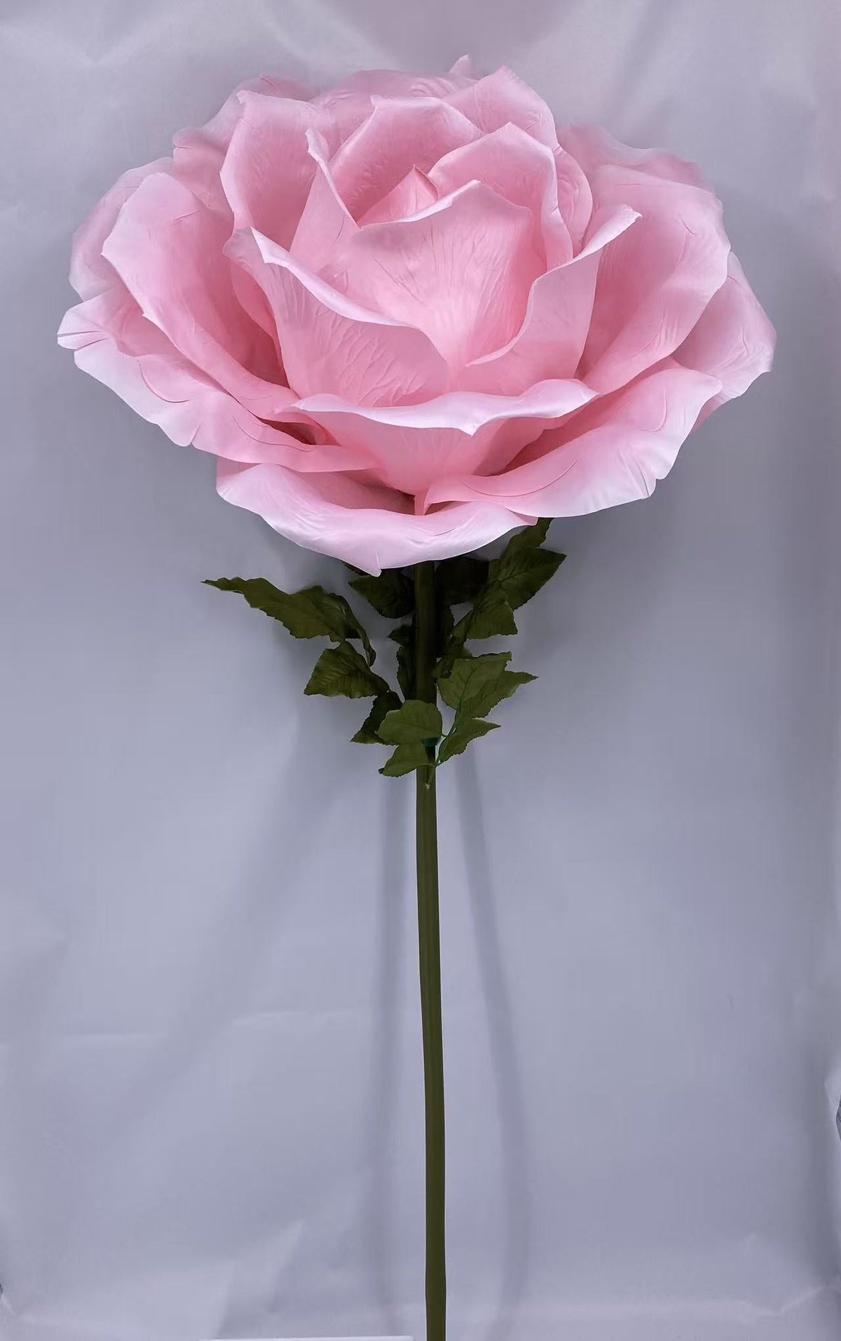 Giant Pink flower
