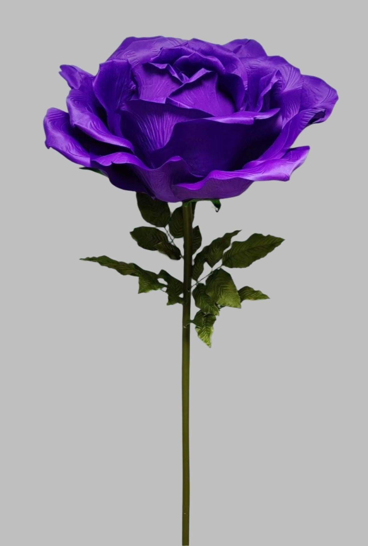 Giant Purple Rose