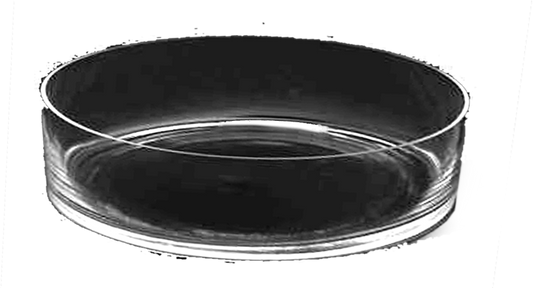 Acrylic Dish