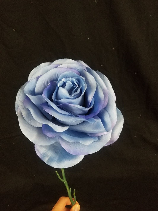 SCFL006