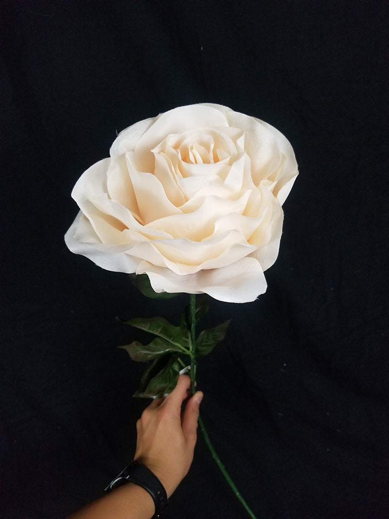 SCFL006