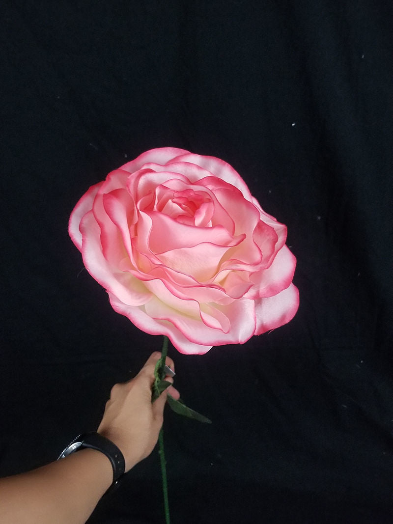 SCFL006