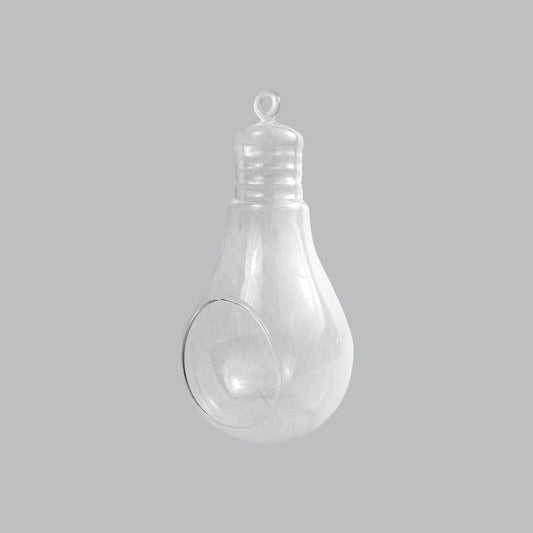 CH170 - 5.5" Air Plant Glass Terrarium Light Bulb Hanging Plant Holders