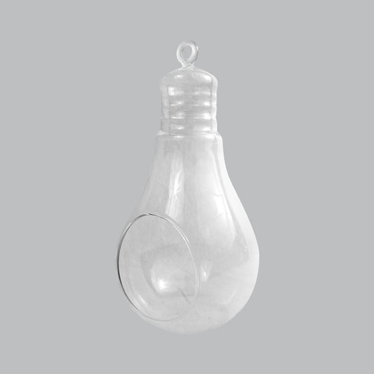 CH171 - 8" Air Plant Glass Terrarium Light Bulb Hanging Plant Holders