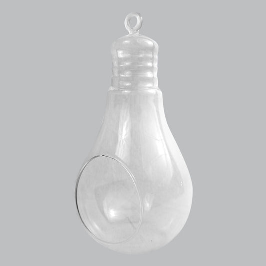 CH172 - 10" Air Plant Glass Terrarium Light Bulb Hanging Plant Holders