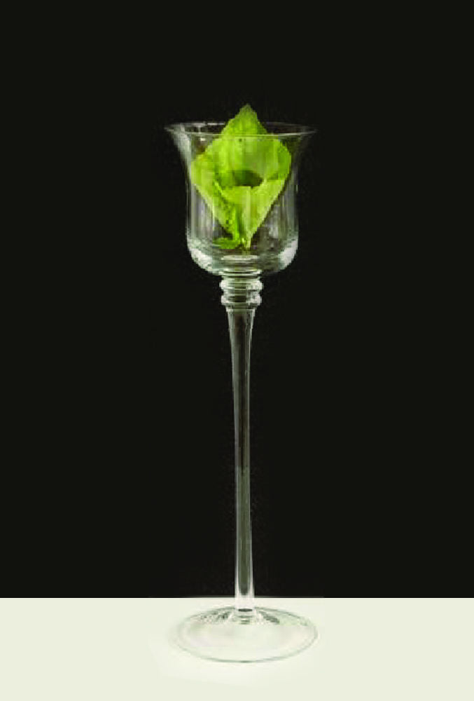 CH216 - 16" Premium Long Stem Glass Candle Holders
