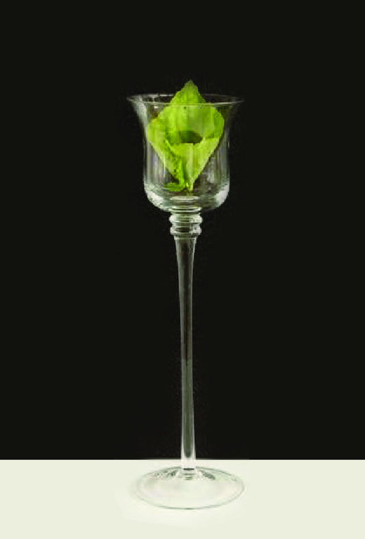 CH216 - 16" Premium Long Stem Glass Candle Holders
