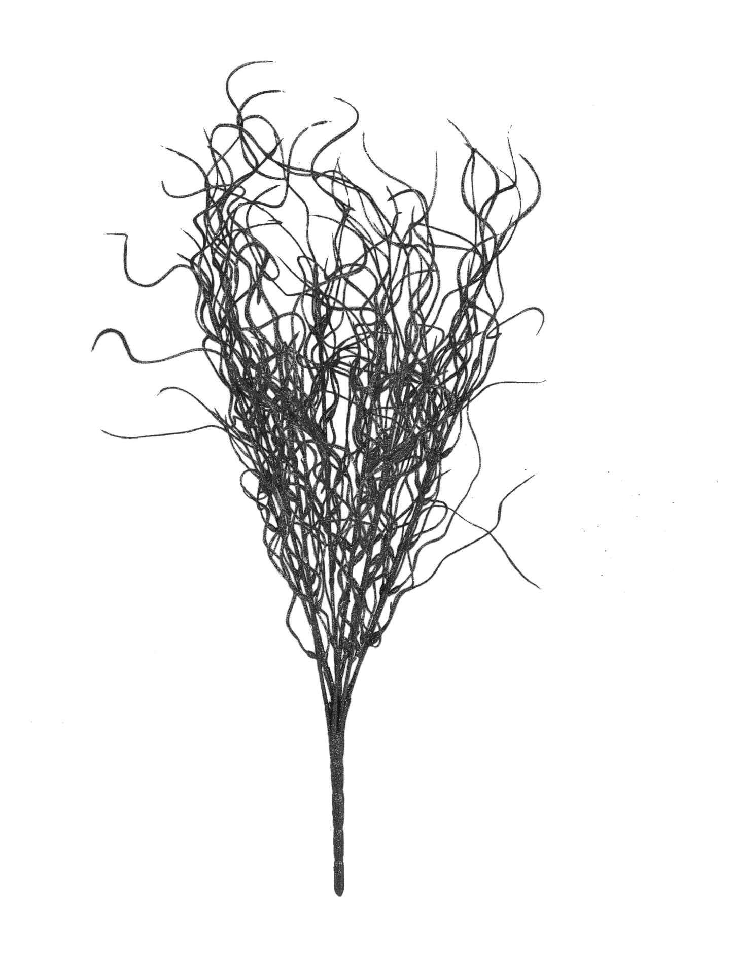 Black - 16"  Angel Hair Glitter Twig