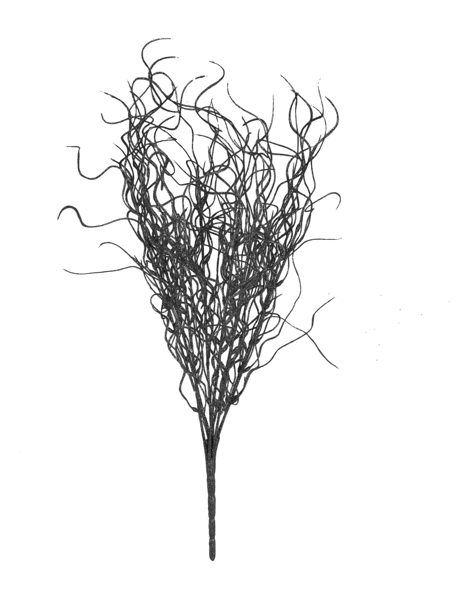 Black - 16"  Angel Hair Glitter Twig