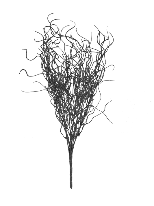 Black - 16"  Angel Hair Glitter Twig
