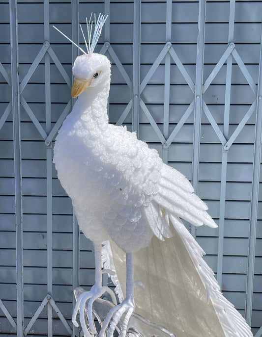 Large White Decorative Peacock