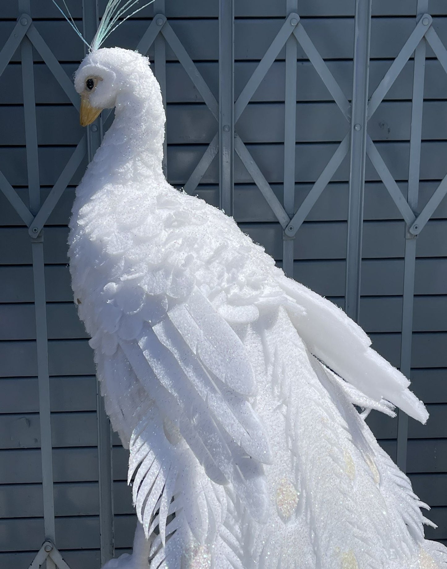 Large White Decorative Peacock