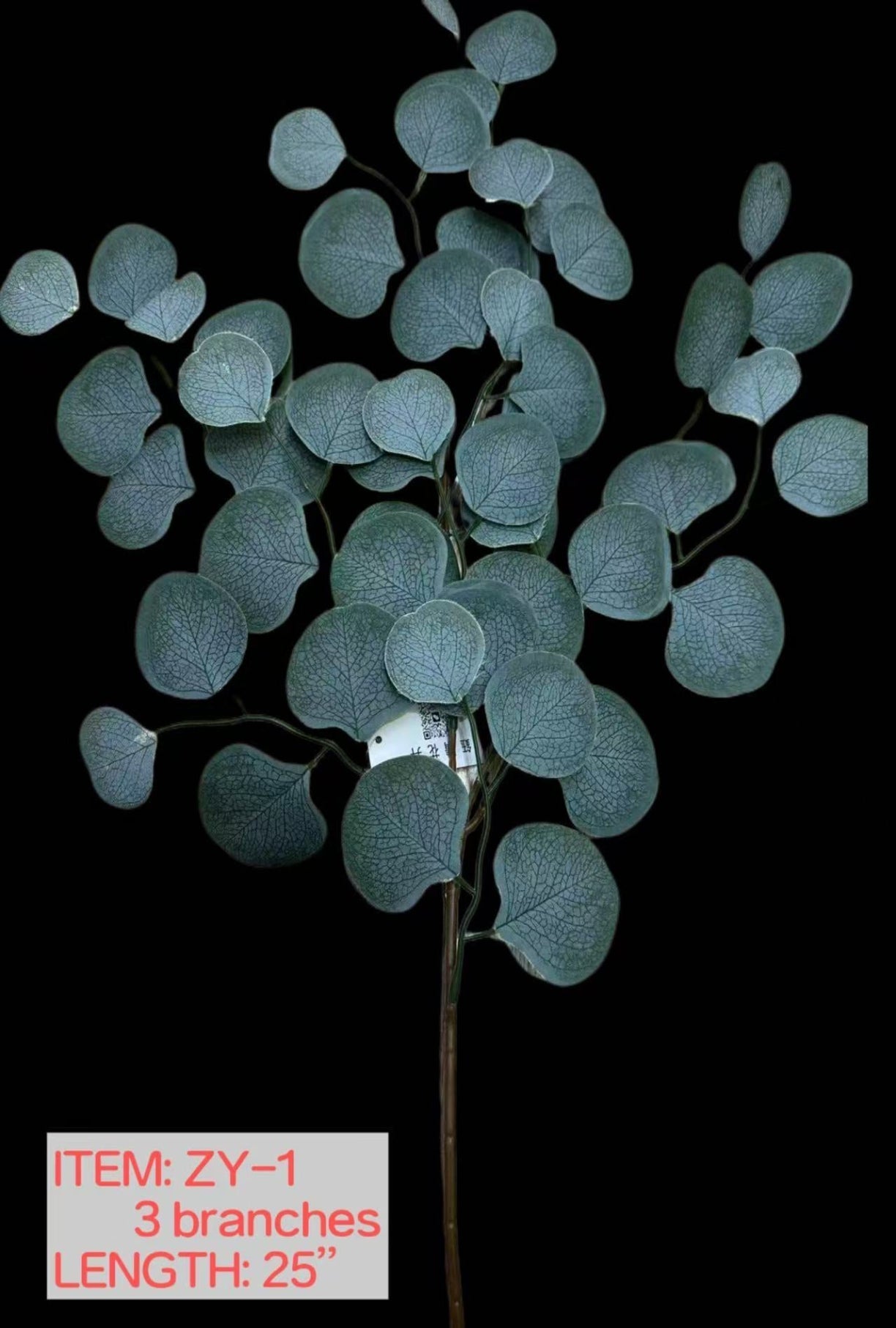 Eucalytus leaves