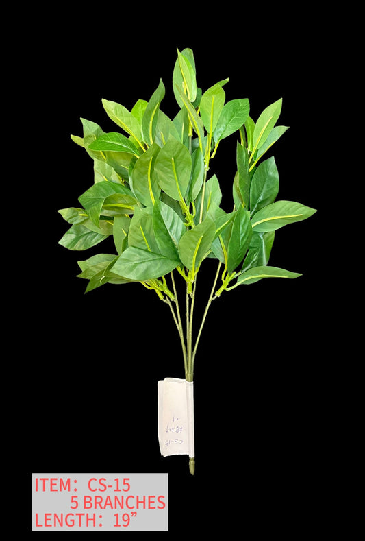 BANYAN LEAVES