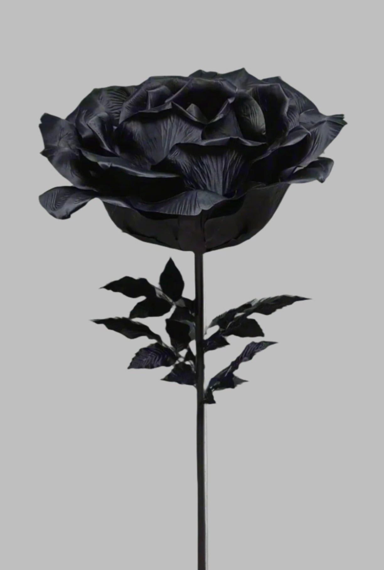 Giant Black flower