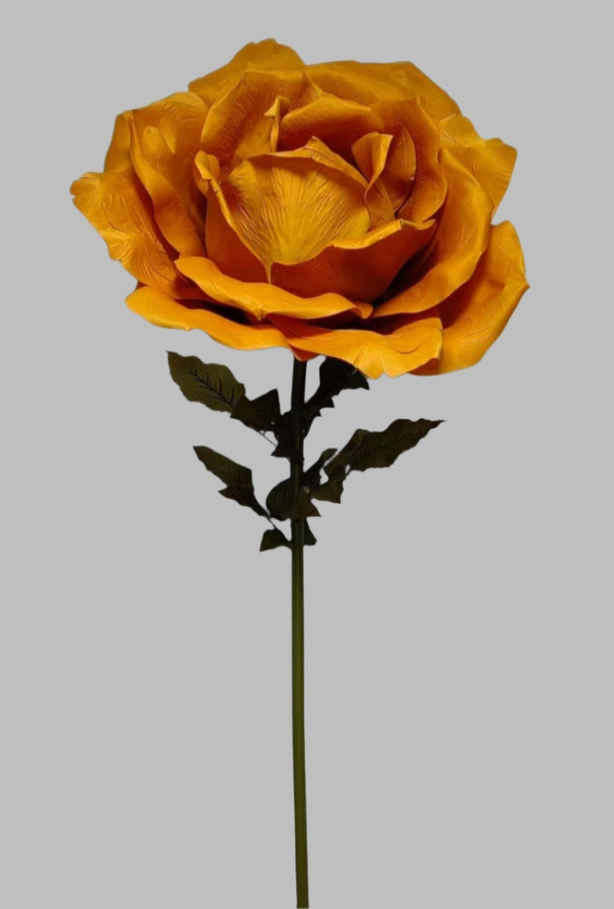Giant Orange Rose