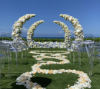 Picture of Half Moon Wedding Arch